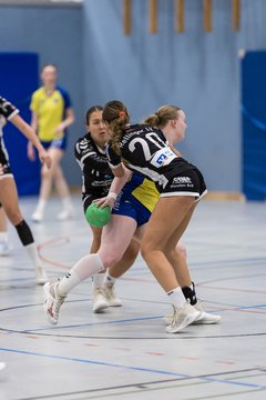 Bild 245 - F HSG Pinnau2 - Rellinger TV2 : Ergebnis: 27:20
